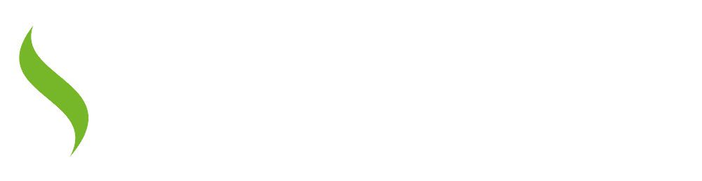 light logo